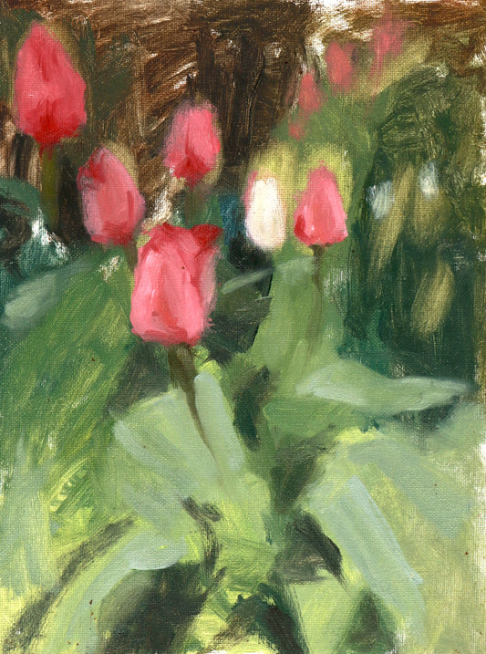 Tulips study, 9x12 inches, Oil on Canvas Board